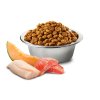 Farmina N&D dog OCEAN (GF) adult mini, salmon, cod & cantaloupe melon1
