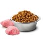 391 41 ciotola nd grain free carne (2)