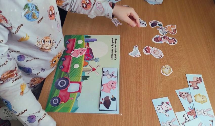 Zvieratká idú k veterinárovi – zábavný pracovný list na rozvoj logického myslenia 🐴🐷🚜
