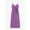 AB5MLBA iris fialova