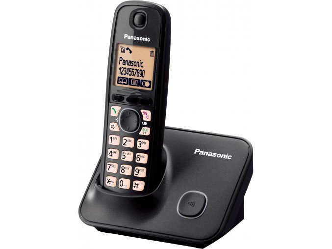 Panasonic KX-TG6611FXT DECT SMS