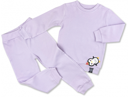 2 dielny set pre deti fialovy1
