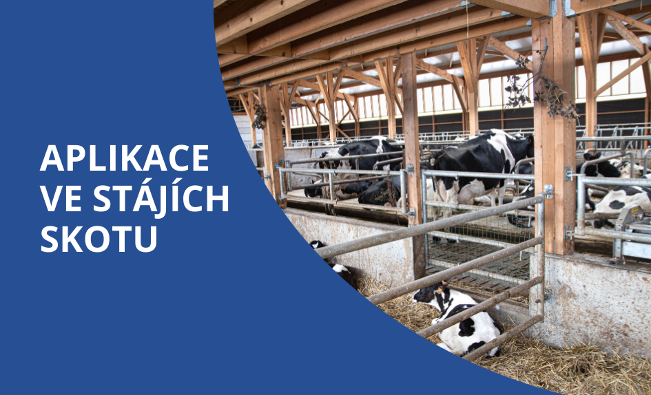 Mouchy ve stájích - jak správně aplikovat insekticidy?