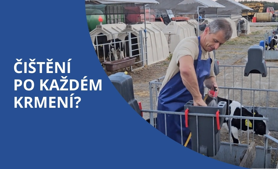 Jak správně čistit napájecí struk, kbelík nebo box po krmení telat?