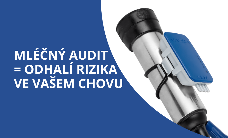 Jak zlepšit dojivost a snížit mastitidy? Komplexní mléčný audit pro vaši farmu