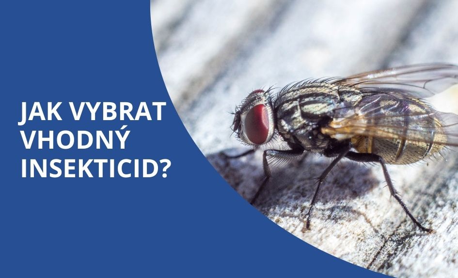 Jak správně vybrat insekticid?