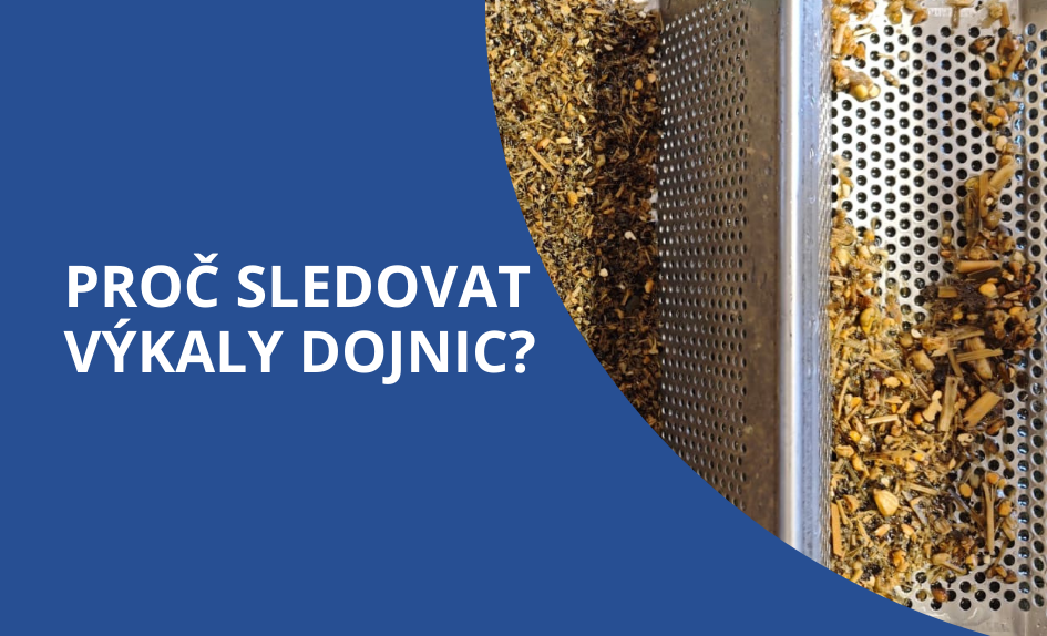 Jak zjistit z výkalů dojnic, že krmíte správně