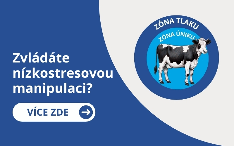 Manipulace se skotem