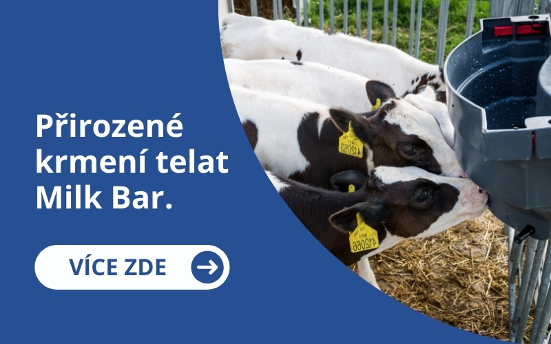 MilkBar krmení telat