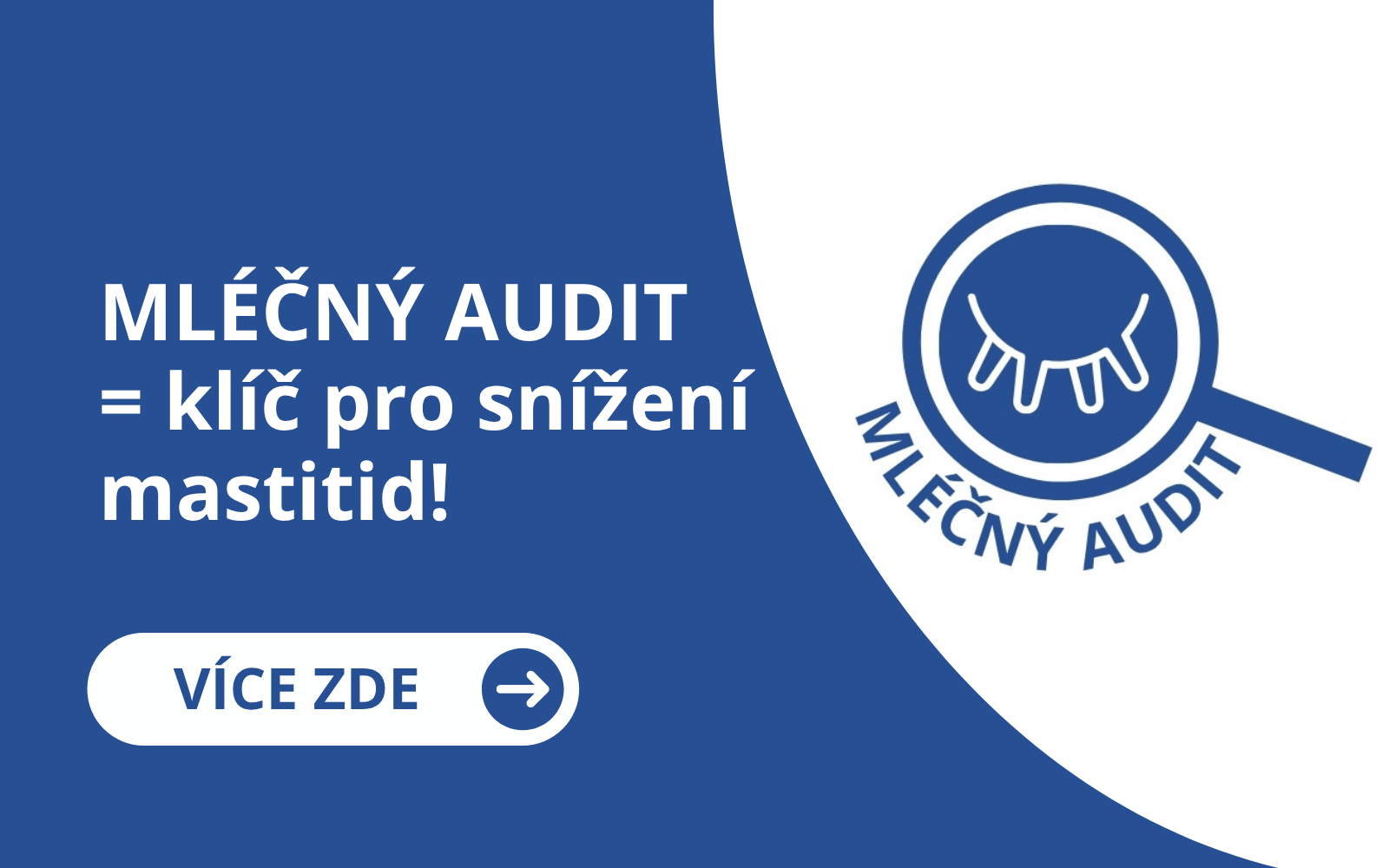 Mléčný audit - klíč ke snížení mastitid
