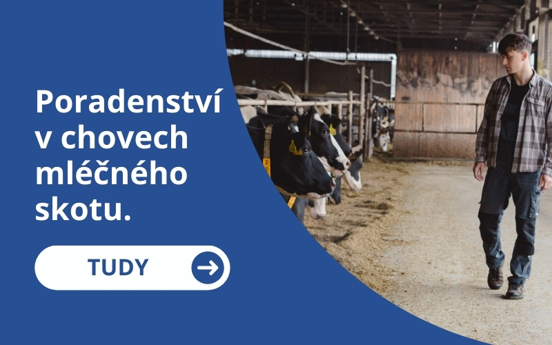 Poradenství k produktům