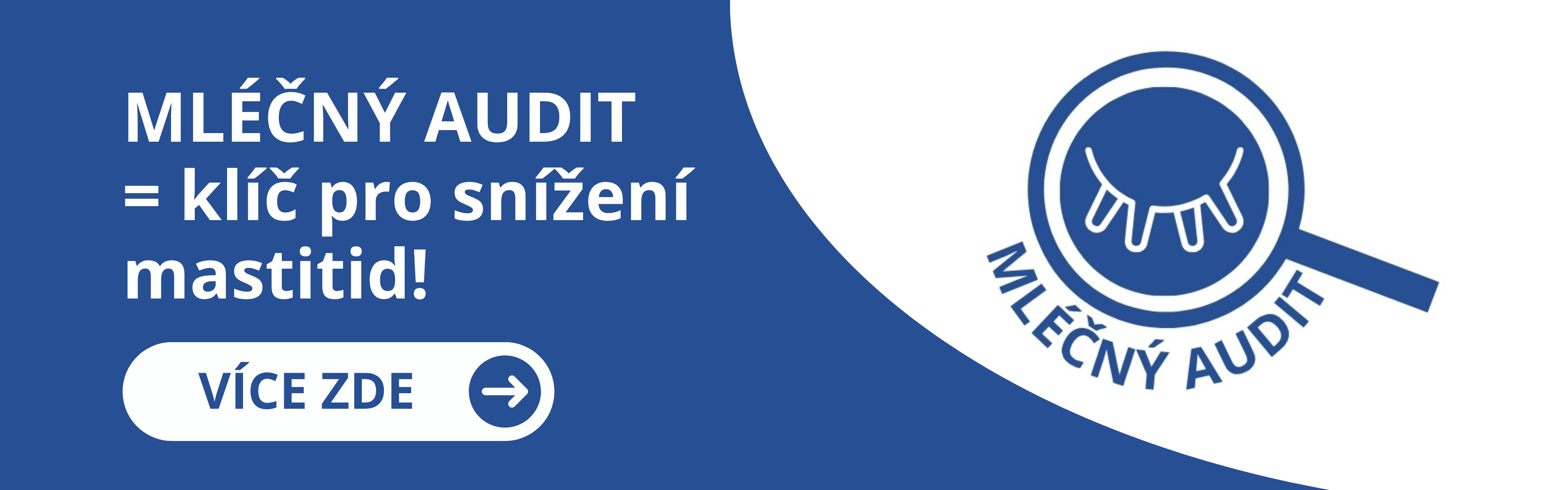 Mléčný audit - klíč ke snížení mastitid