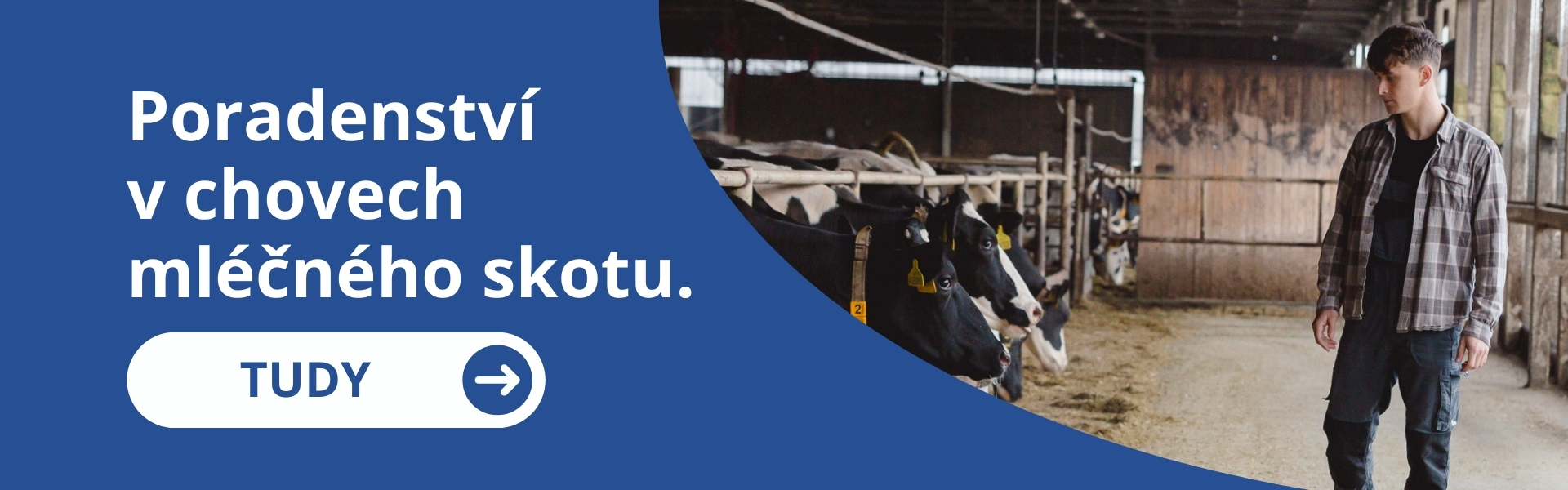 Odborné poradenství
