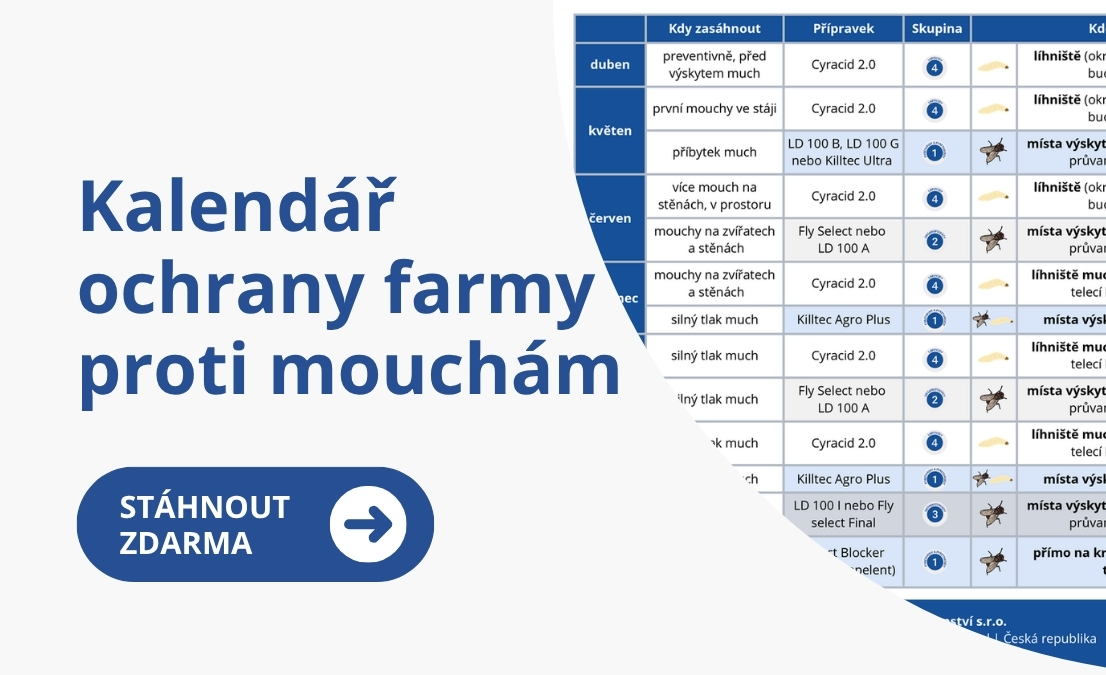 Stáhnout kalendář proti mouchám