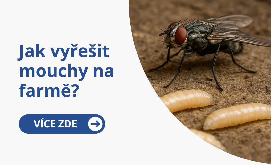 Jak vyřešit mouchy na farmě?