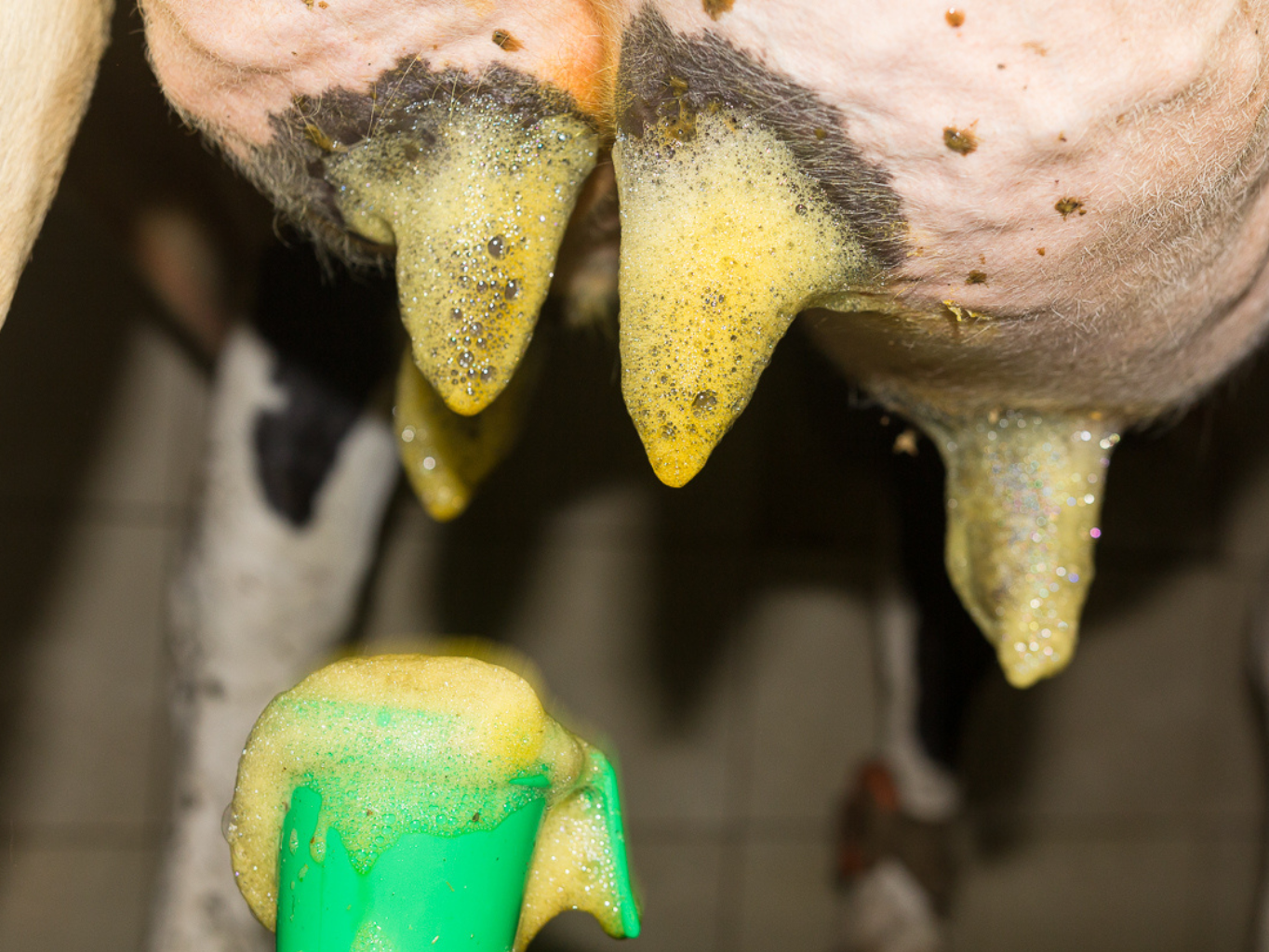 BaktoStop_foam_aplikace_1