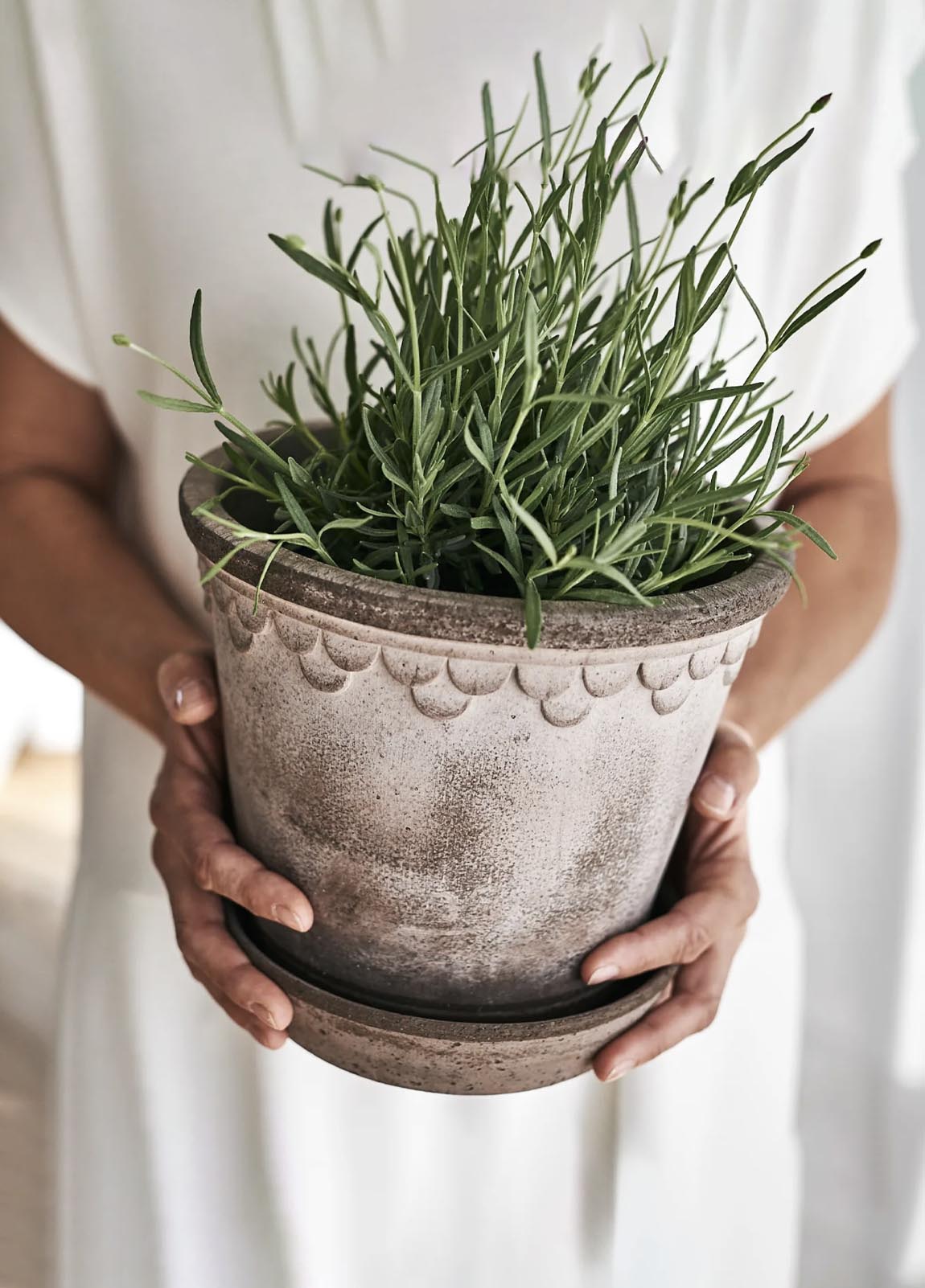 Bergs Potter – květináče s duší