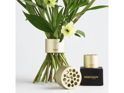 Sada floristických pomůcek Hanataba Champagne Gold - 2 ks