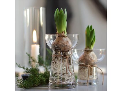 Skleněná váza Hyacint - 15 cm