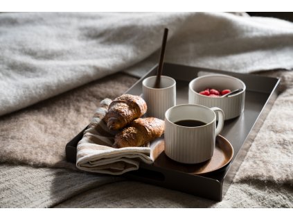 Kovový podnos ERNST Mole - 45 x 30 cm