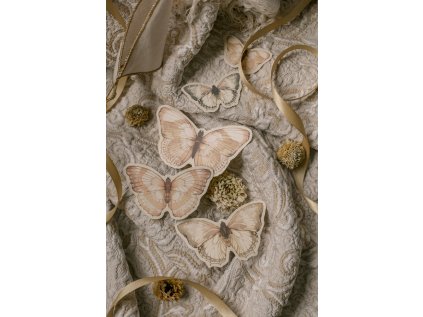 7944 1 papirova dekorace butterflies