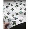 16098 2 papirove ubrousky clover