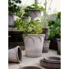 Terakotový květináč Elizabeth Grey - 16 cm