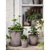 Terakotový květináč Elizabeth Grey - 16 cm