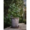 Terakotový květináč Elizabeth Grey - 16 cm