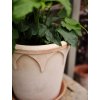 Terakotový květináč Elizabeth Rosa - 16 cm