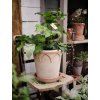 Terakotový květináč Elizabeth Rosa - 16 cm