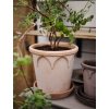 Terakotový květináč Elizabeth Rosa - 16 cm
