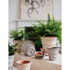 Terakotový květináč Pantheon Rosa - 16 cm