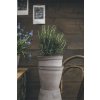 Terakotový květináč Helena Grey - 16 cm