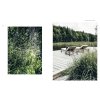 Kniha Nordic Garden Design