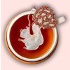 Čaj rooibos s červeným pomerančem Squirrel - 5 ks