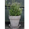 Terakotový květináč Simona Grey - 16 cm