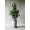 Terakotový květináč Copenhagen Tall Grey - 18 cm