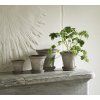 Terakotový květináč Fleur Grey - 14 cm