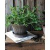 Terakotový květináč Daisy Grey - 25 cm
