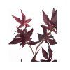 Umělá květina Maple - Burgundy