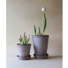Terakotový květináč Helena Tall Grey - 14 cm