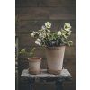 Terakotový květináč Helena Tall Rosa - 14 cm