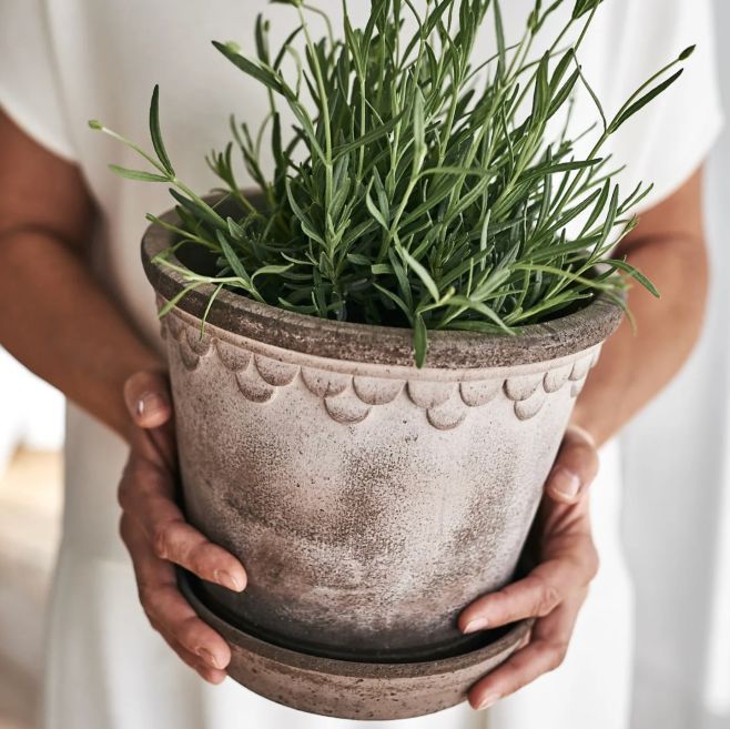 „To“ období právě začíná… Období, kdy světlo zůstává déle, ráno voní jinak a my máme přirozenou potřebu přinést domů víc...