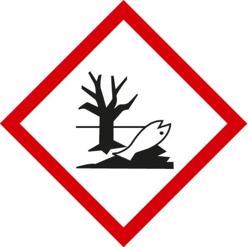 ryba