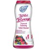 Foam Fresh pěnivý čistící prášek do toalety s vůní lesního ovoce 370g