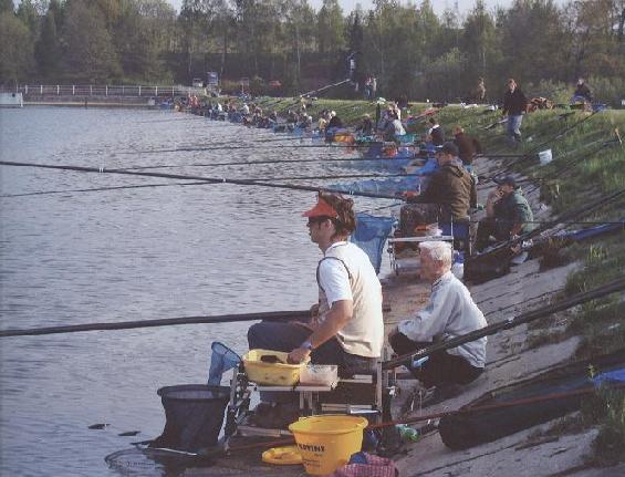 PLAVANÁ JAKO SPORTOVNÍ DISCIPLÍNA