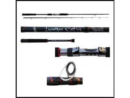 Prut Leviathan Catfish