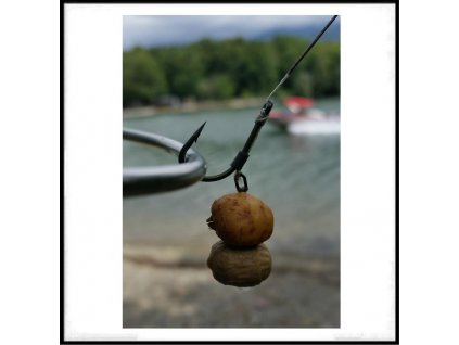 Umělý Tygří Ořech