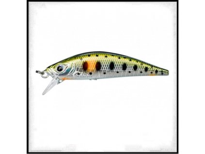 Gamera 5,0Cm Sp Spot Green Trout